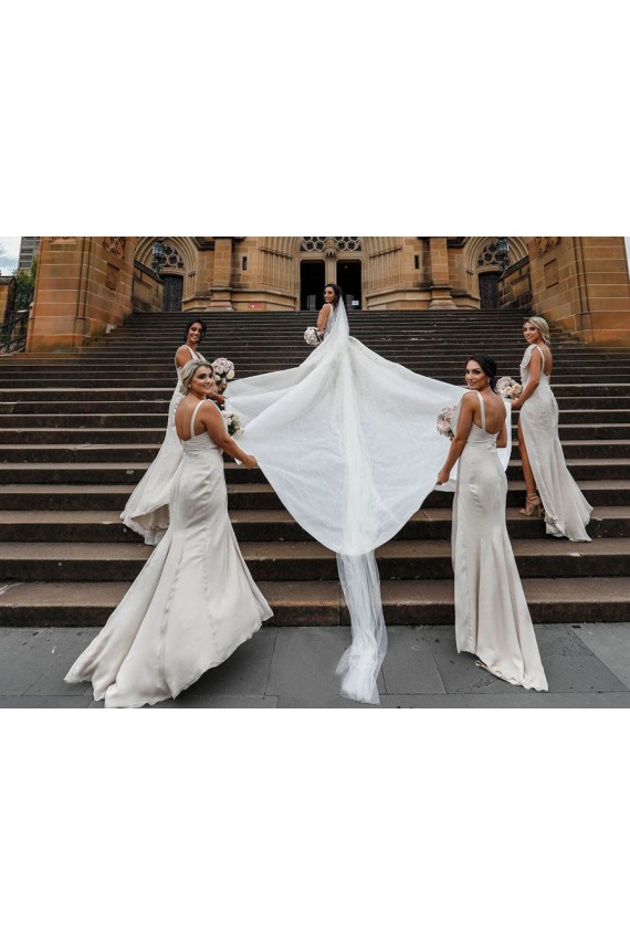 Low Back Soft Chiffon V-Neck Long Sleeveless Bridesmaid Dress Toowoomba