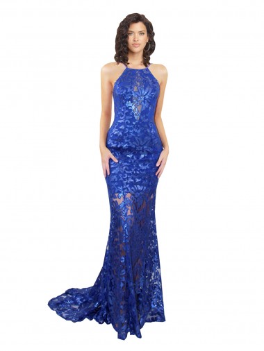 Open Back Lace High Neck Long Sleeveless Semi Formal Evening Dress / Prom Dress / Bridesmaid Dress Toowoomba