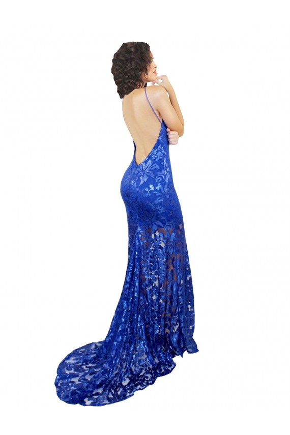 Open Back Lace High Neck Long Sleeveless Semi Formal Evening Dress / Prom Dress / Bridesmaid Dress Toowoomba