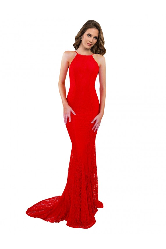 Open Back Lace High Neck Long Sleeveless Evening Gown / Prom Dress / Bridesmaid Dress Toowoomba
